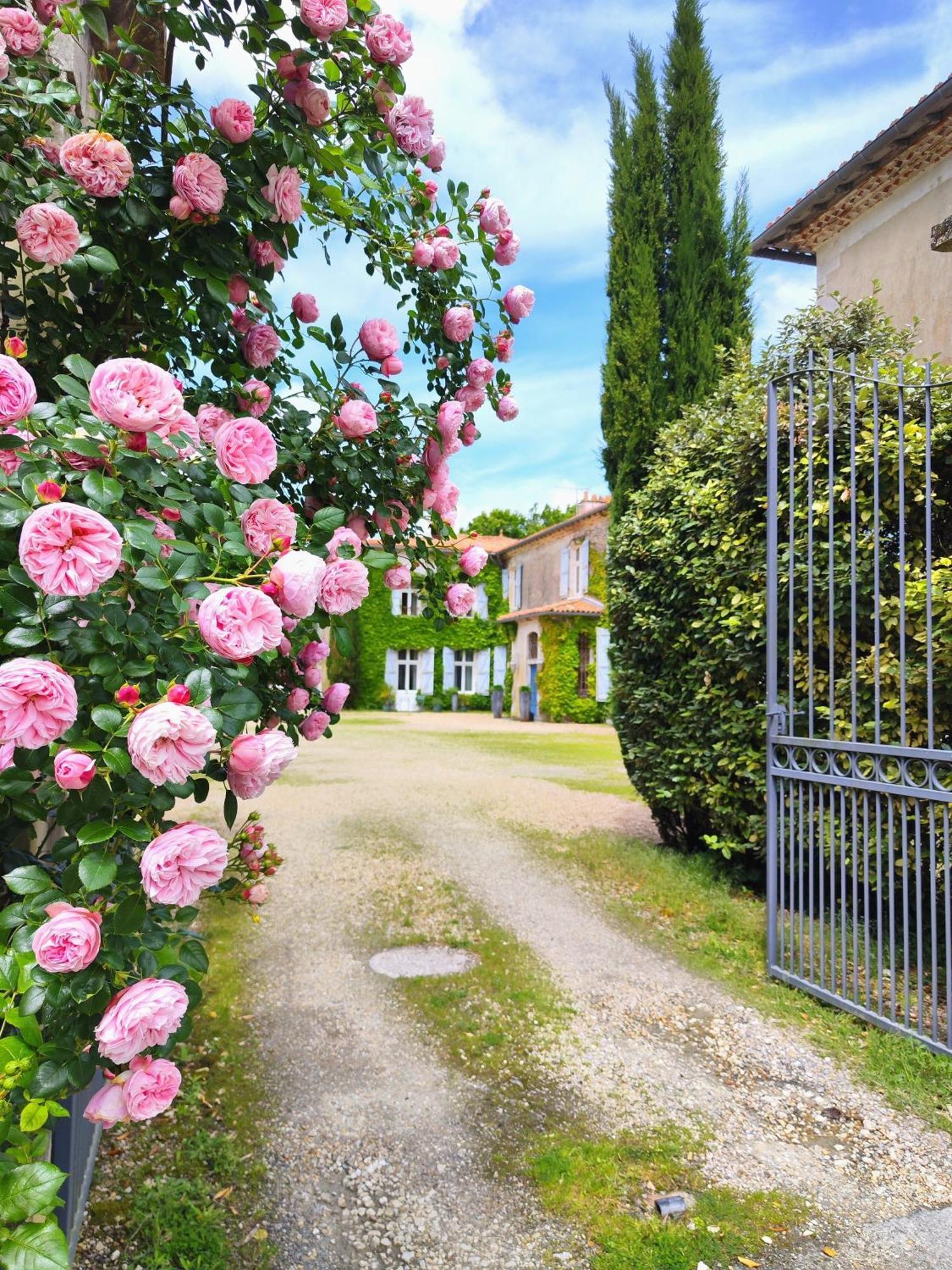 Hotel Chateau De Didonne Sémussac Exteriör bild